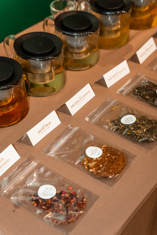 Noite Feliz | Rooibos | Sabor a Laranja e Canela | BIO